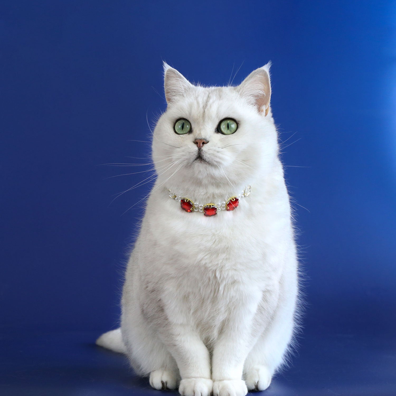 Luxury Rhinestone Pearl Cat Collar, Bling Gem Crystal Pet Necklace, Adjustable Elegant Kitten Puppy Dress Up Jewelry Collar for Small Pets
