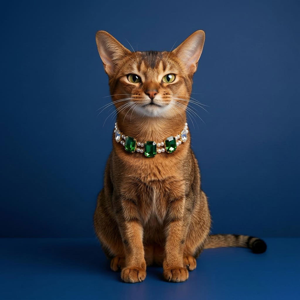 Luxury Rhinestone Pearl Cat Collar, Bling Gem Crystal Pet Necklace, Adjustable Elegant Kitten Puppy Dress Up Jewelry Collar for Small Pets