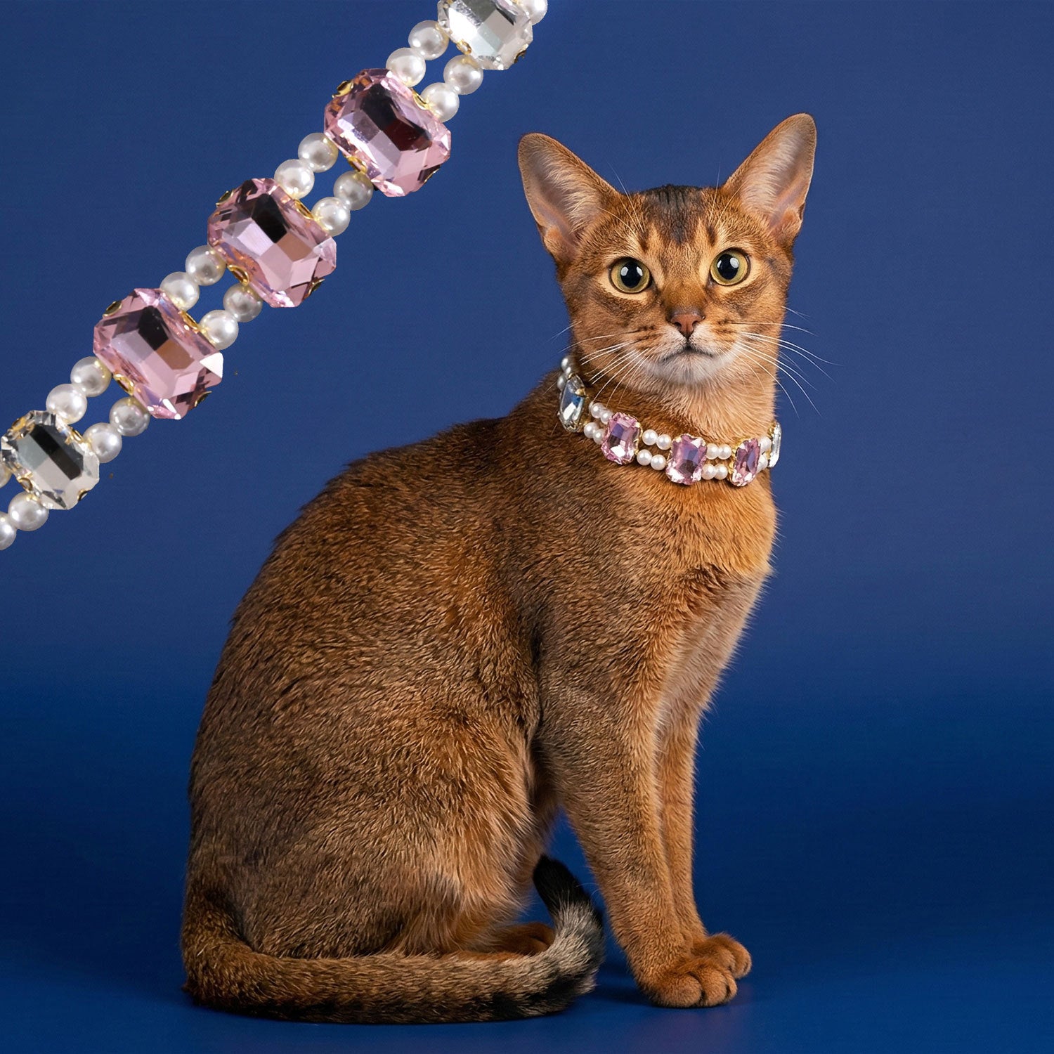 Luxury Rhinestone Pearl Cat Collar, Bling Gem Crystal Pet Necklace, Adjustable Elegant Kitten Puppy Dress Up Jewelry Collar for Small Pets