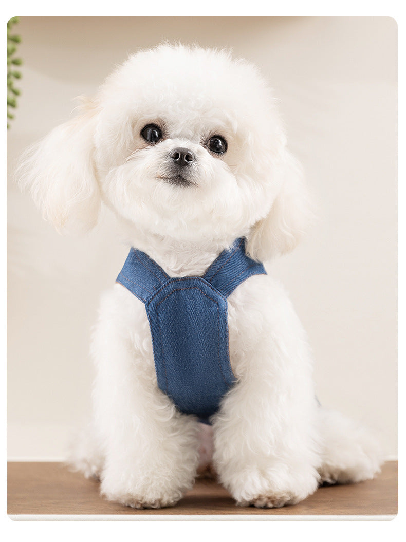 Denim Dog Vest and Skirt Set for Small Breeds, Classic Western Style Pet Outfit